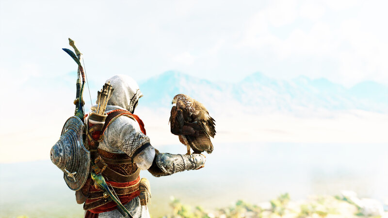 Assassin with Falcon — White, Serene