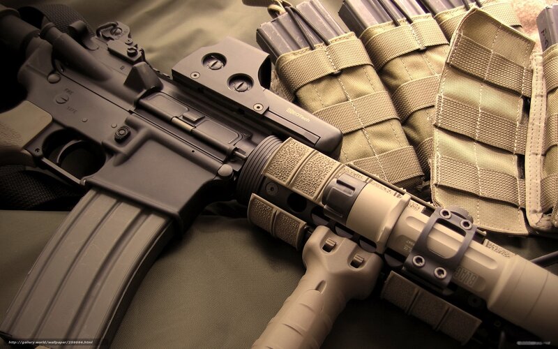 Assault Rifle with Magazines — Black, Serious