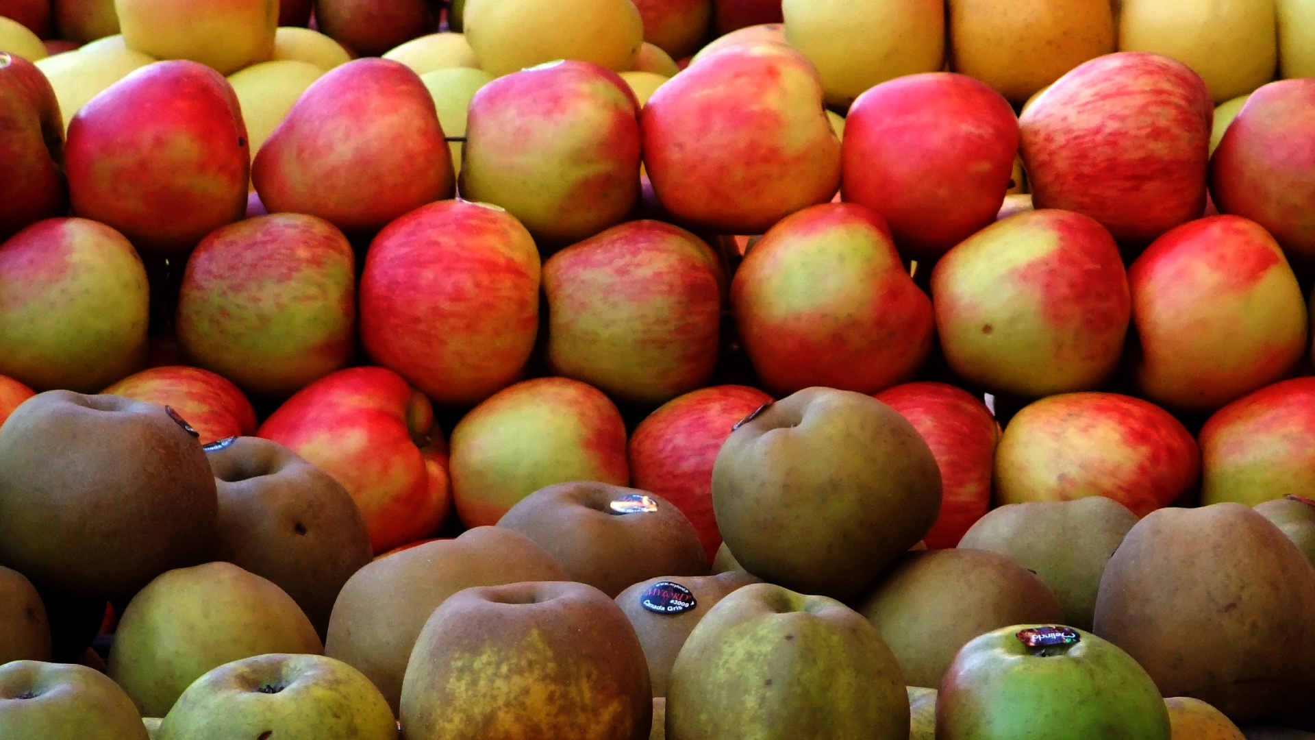 assorted apples at market