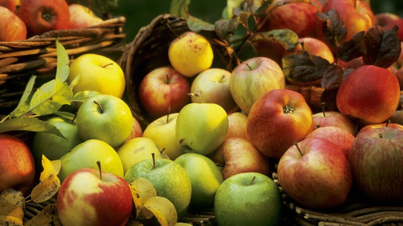 Assorted apples in baskets