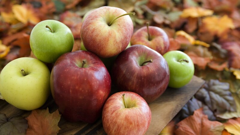 Assorted apples on autumn leaves