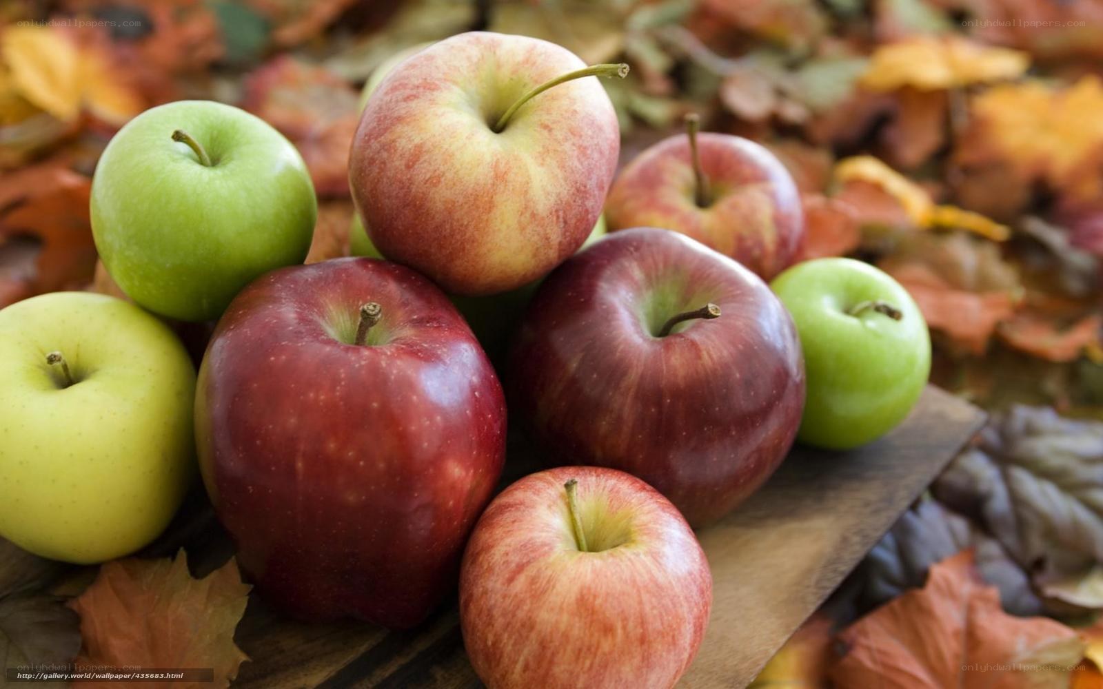 Assorted apples on autumn leaves