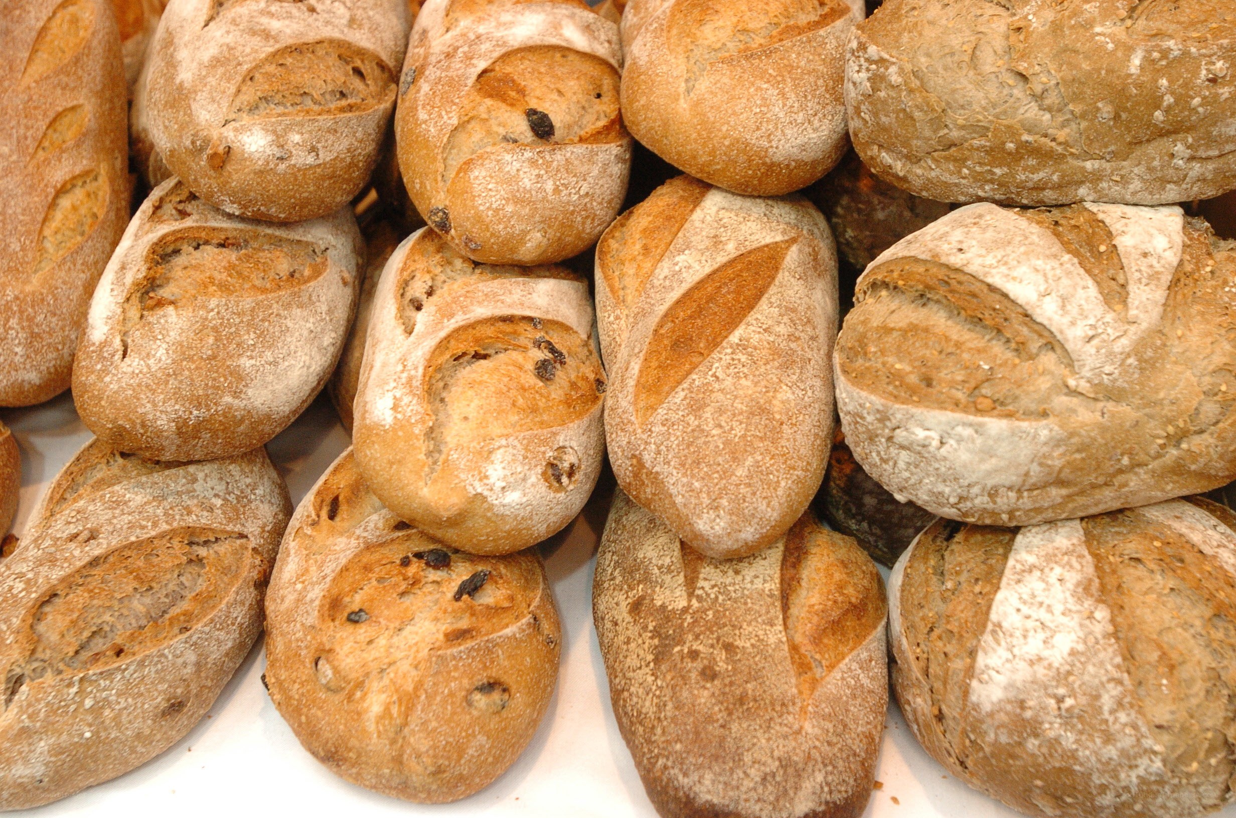 Assorted artisan bread loaves