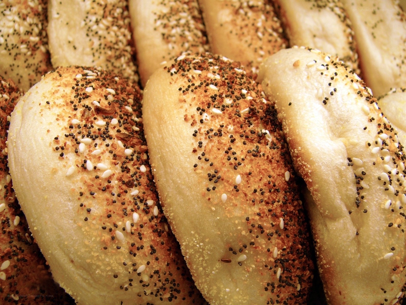 Assorted bagels with seeds