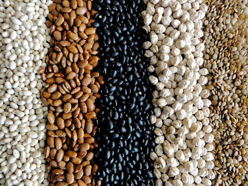 Assorted Beans in Rows