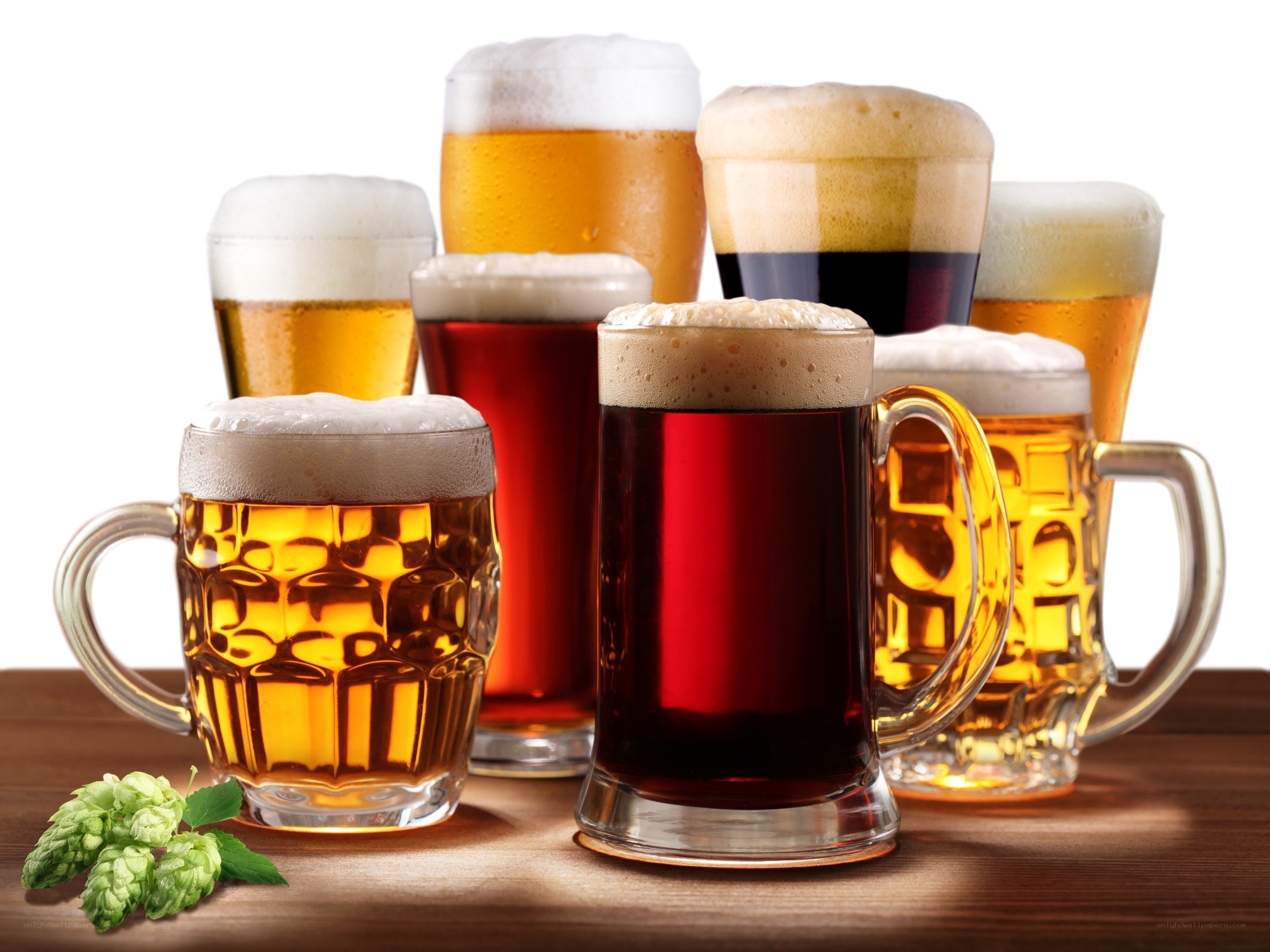 Assorted beers in glass mugs