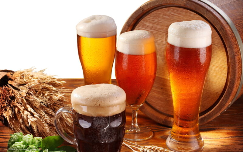Assorted beers with barley and hops