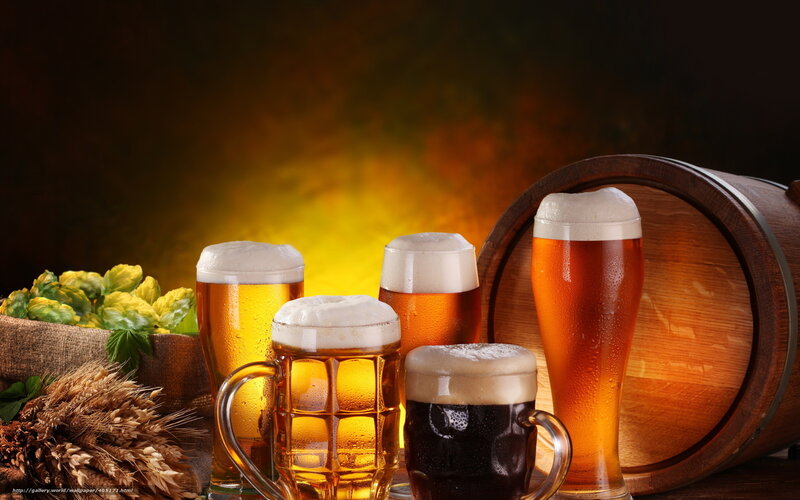 Assorted beers with hops and barley
