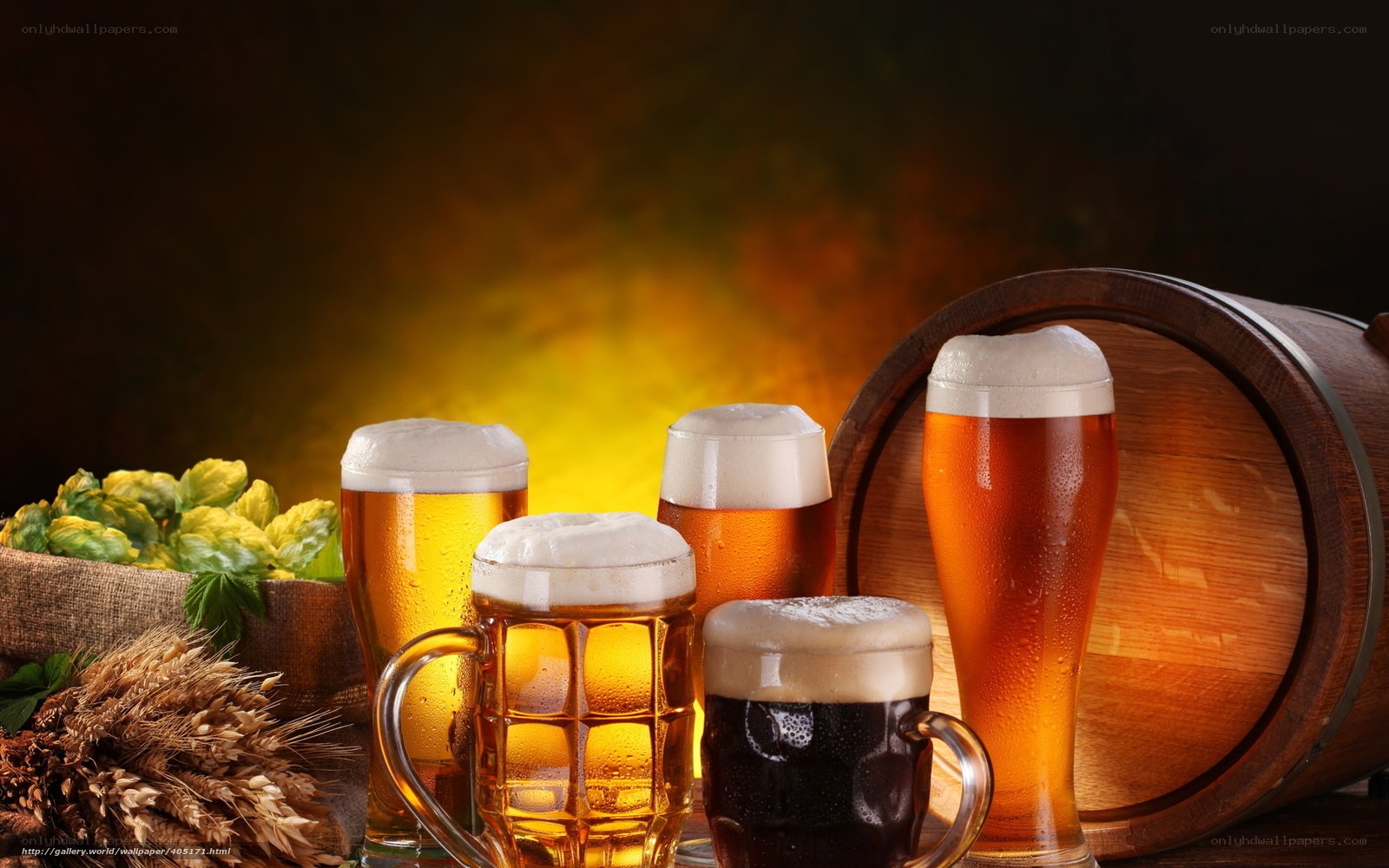 Assorted beers with hops and barley