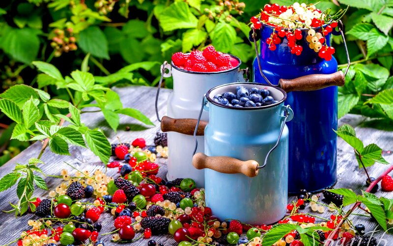 Assorted Berries in Buckets
