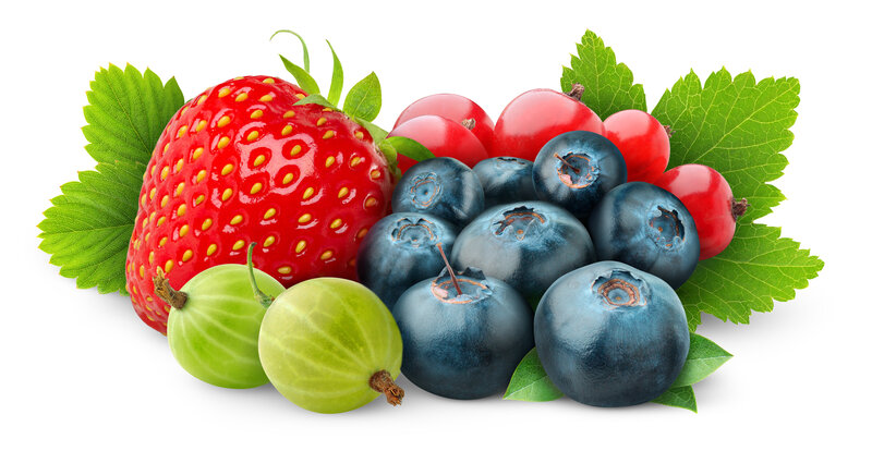 Assorted Berries with Leaves — Red