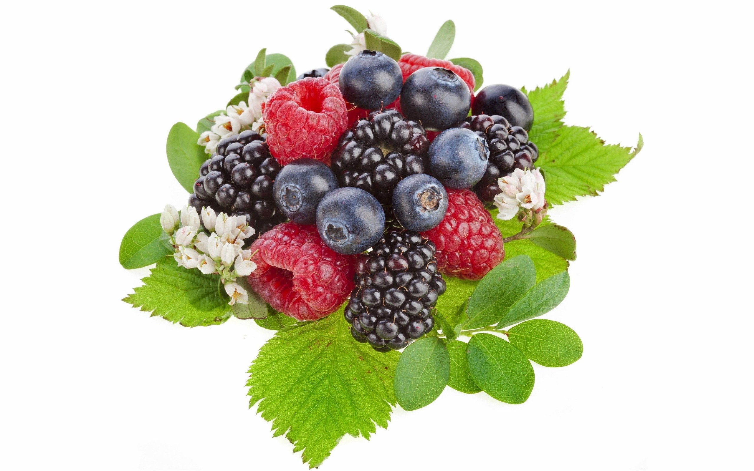 assorted berries with leaves