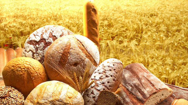 Assorted Bread Loaves — Yellow