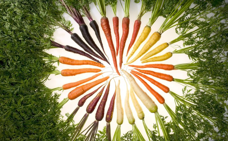 Assorted Carrots Arranged in Circle — Orange, Calm