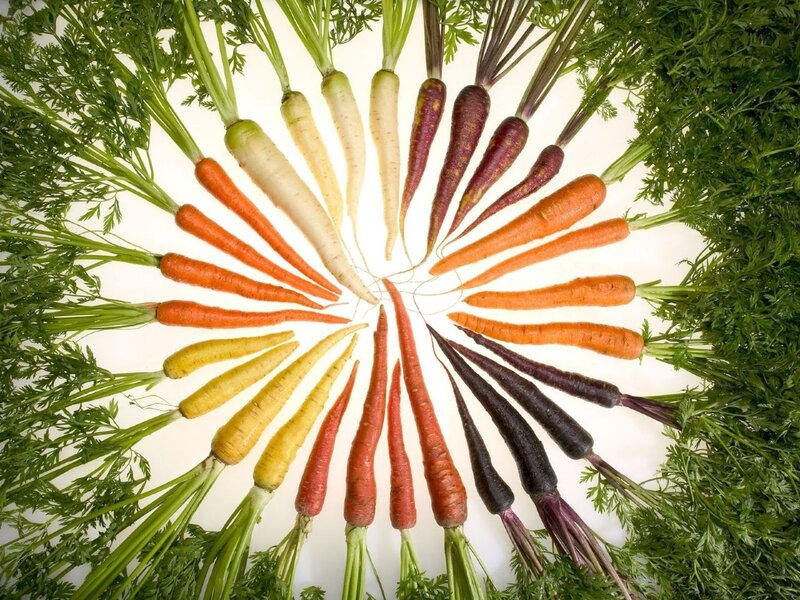 Assorted Carrots Arranged in Circle — Orange