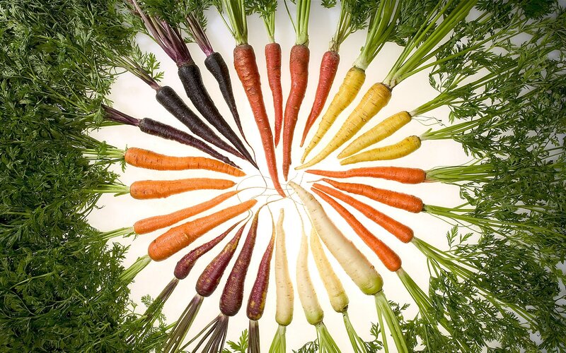 Assorted Carrots Arranged in Circle