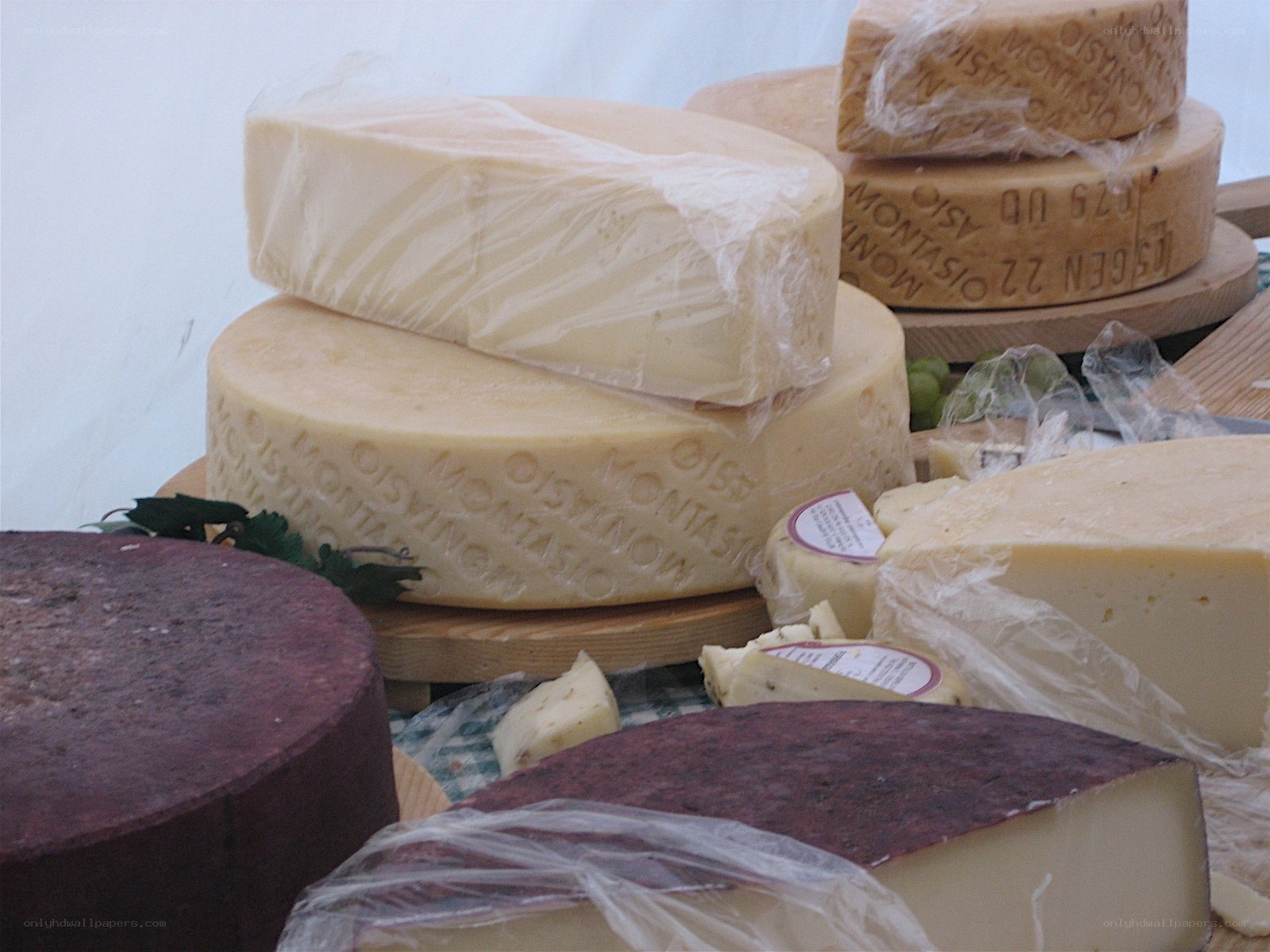 Assorted cheese wheels on display