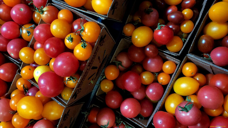 Assorted Cherry Tomatoes — Red