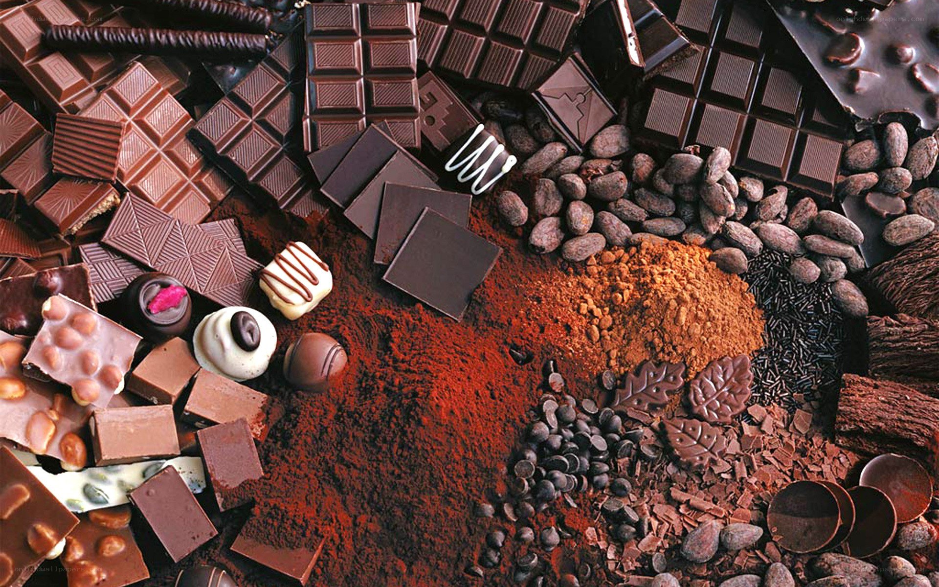 Assorted chocolate and cocoa products