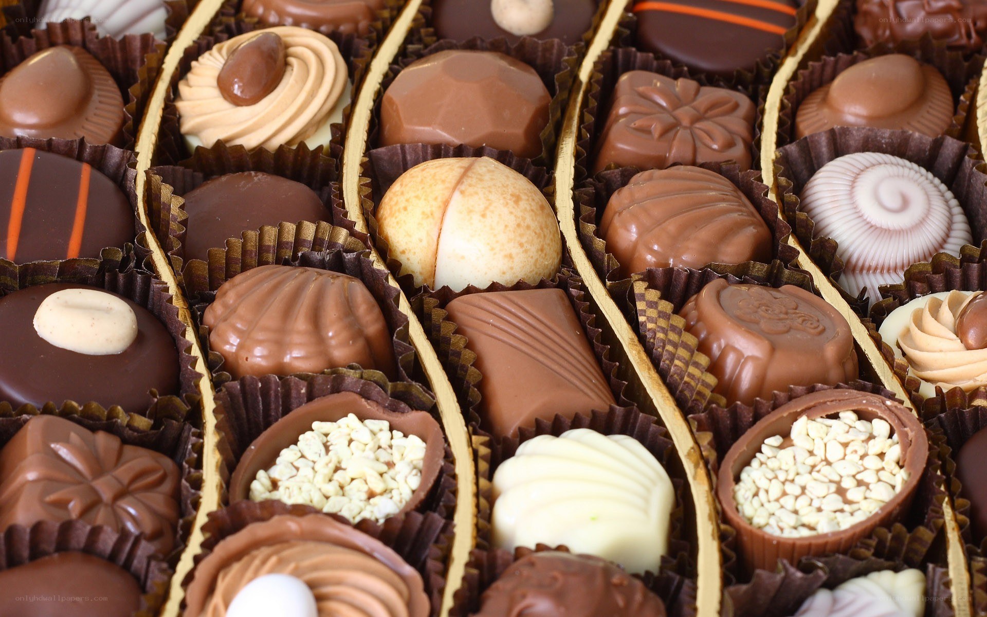 Assorted chocolate truffles