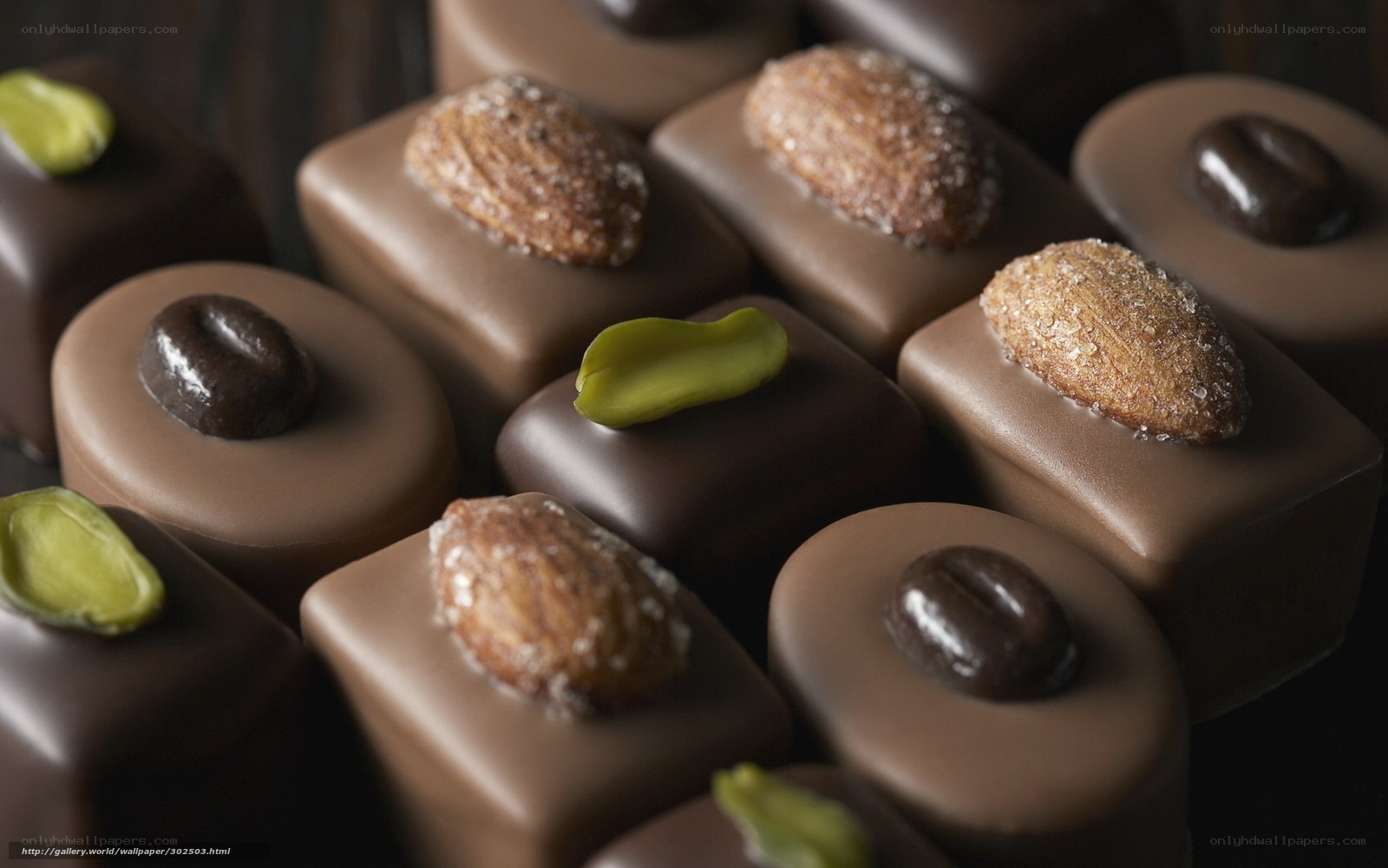 Assorted chocolate truffles