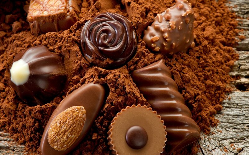 Assorted Chocolates on Cocoa Powder — Brown