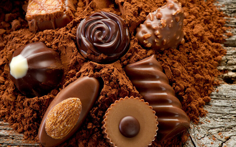 Assorted chocolates on cocoa powder