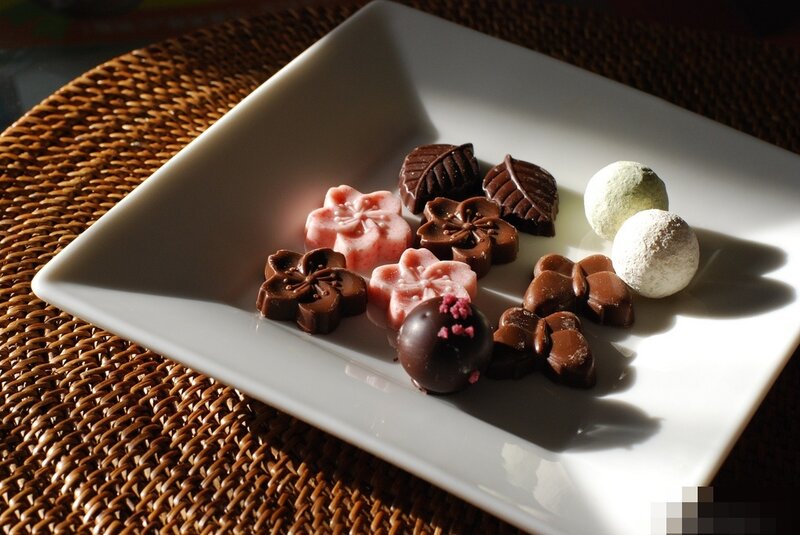 Assorted Chocolates on Plate — White