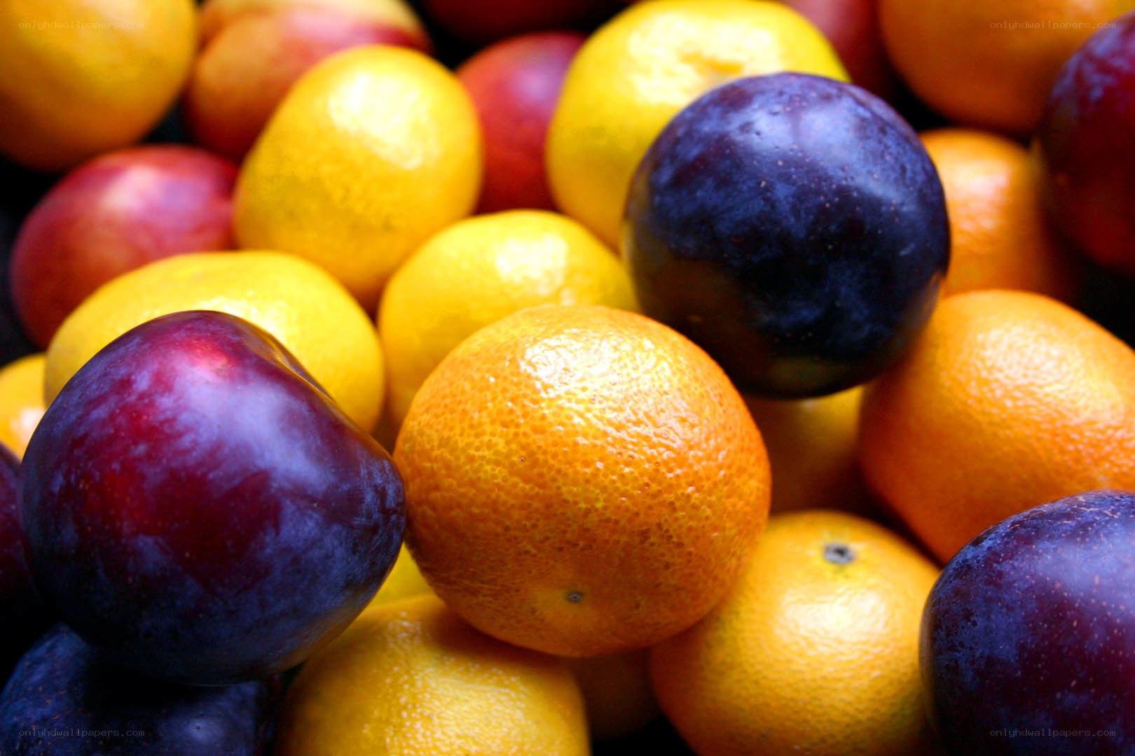 assorted citrus and plums