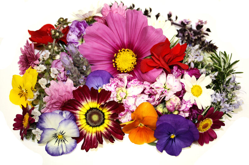 Assorted Edible Flowers