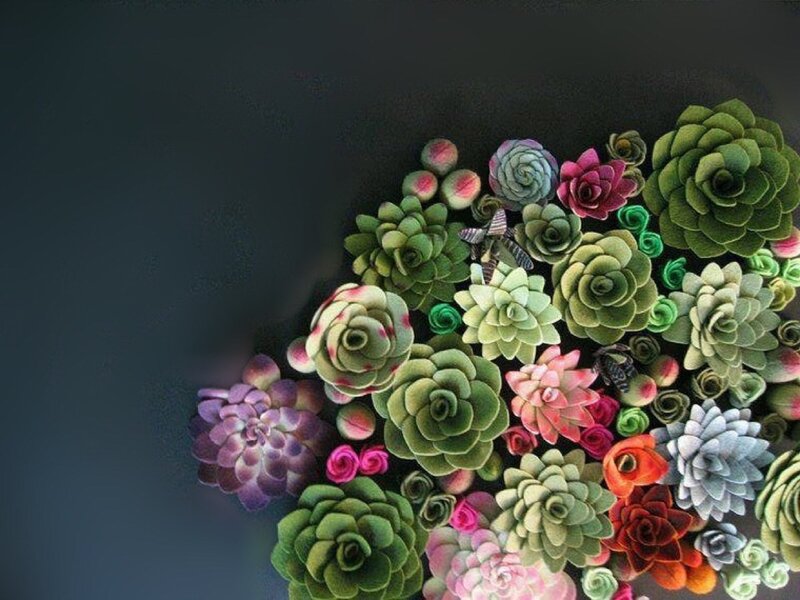 Assorted Felt Succulents
