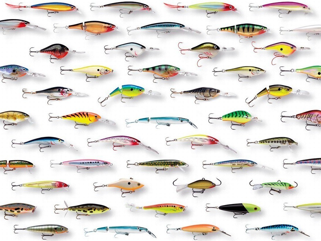 assorted fishing lures collection