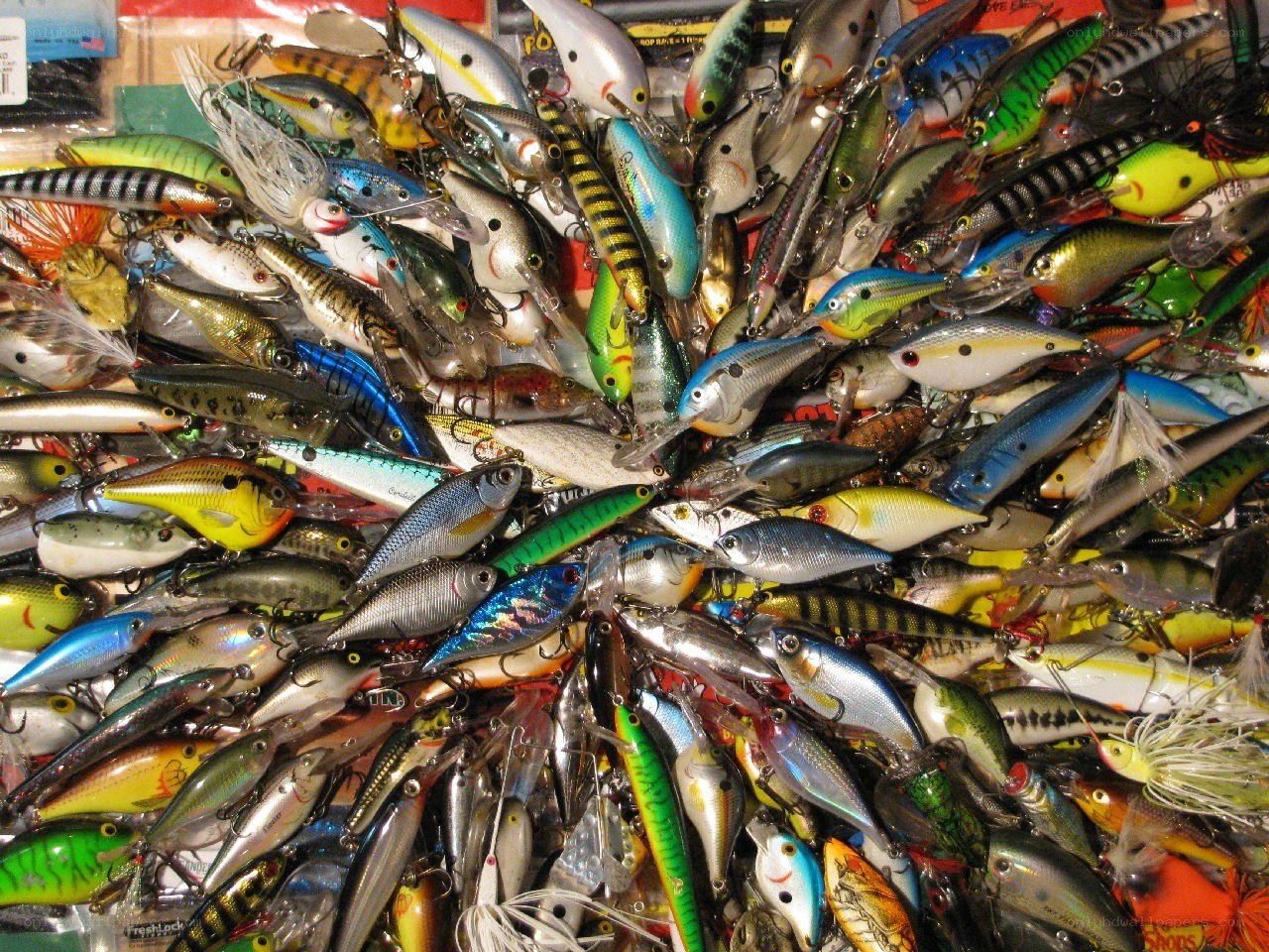 assorted fishing lures collection