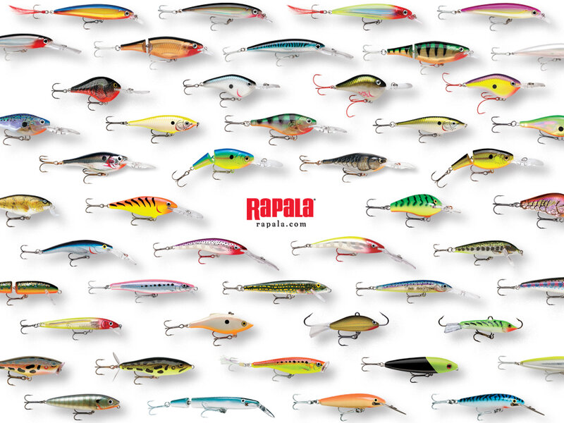 Assorted Fishing Lures