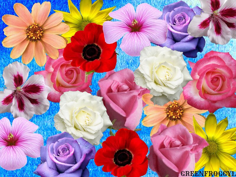 Assorted Flowers Collage — Blue