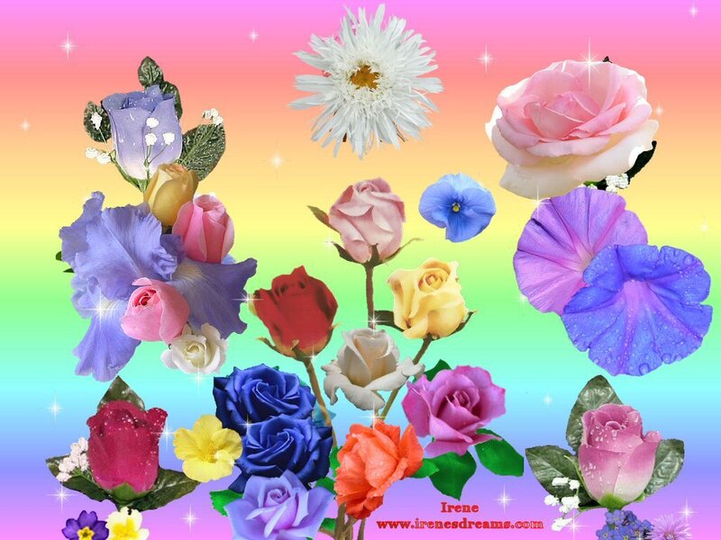 Assorted Flowers Collage