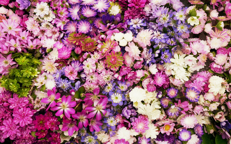 Assorted Flowers in a Pile — Pink