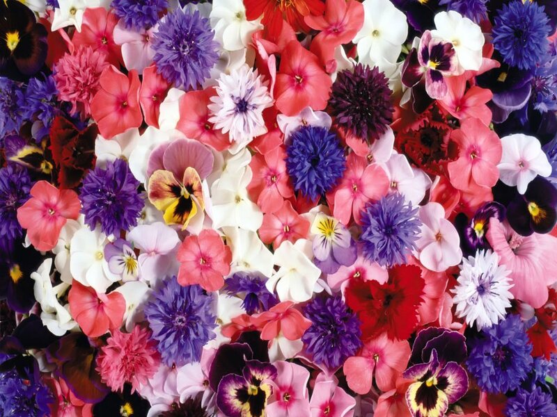 Assorted Flowers in a Pile