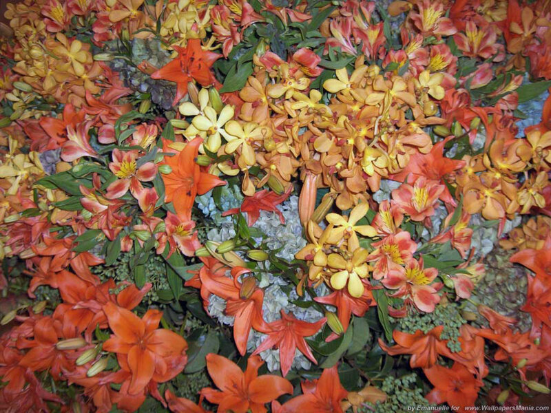 Assorted Flowers in Bouquet — Orange