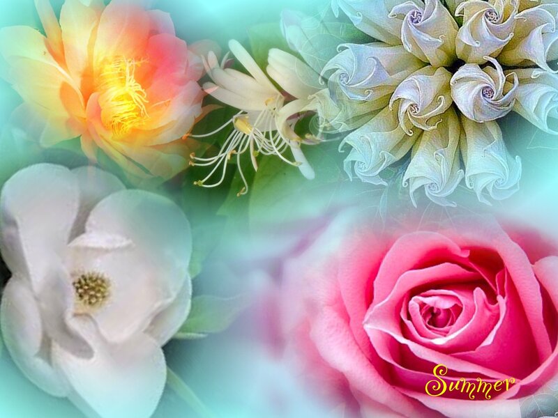 Assorted Flowers — Pink, Serene