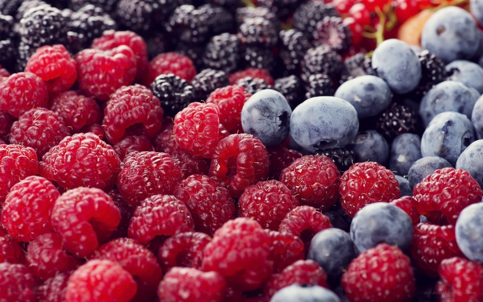 assorted fresh berries