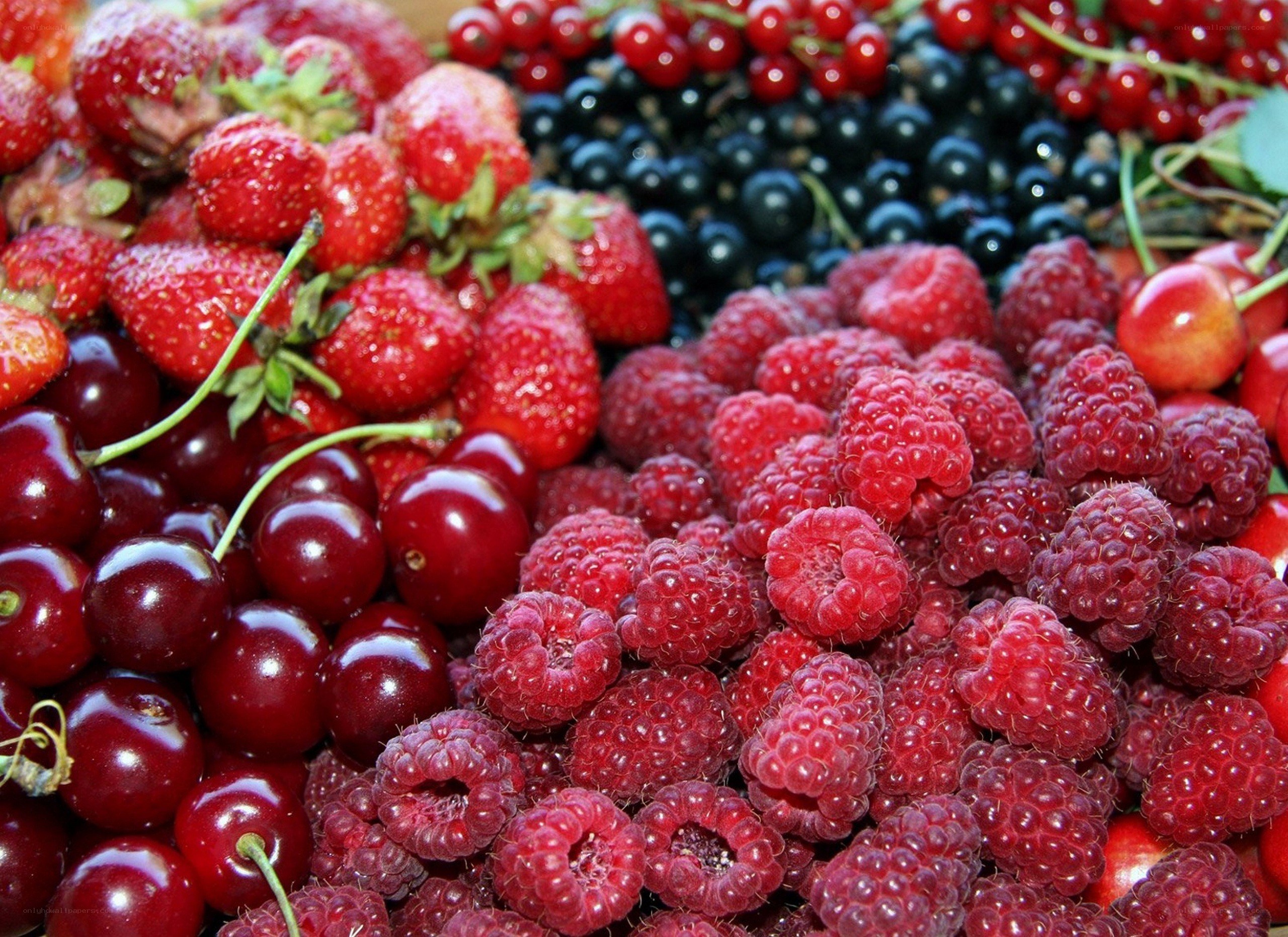 assorted fresh berries