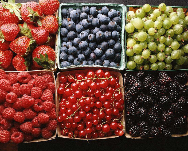 Assorted fresh berries in boxes