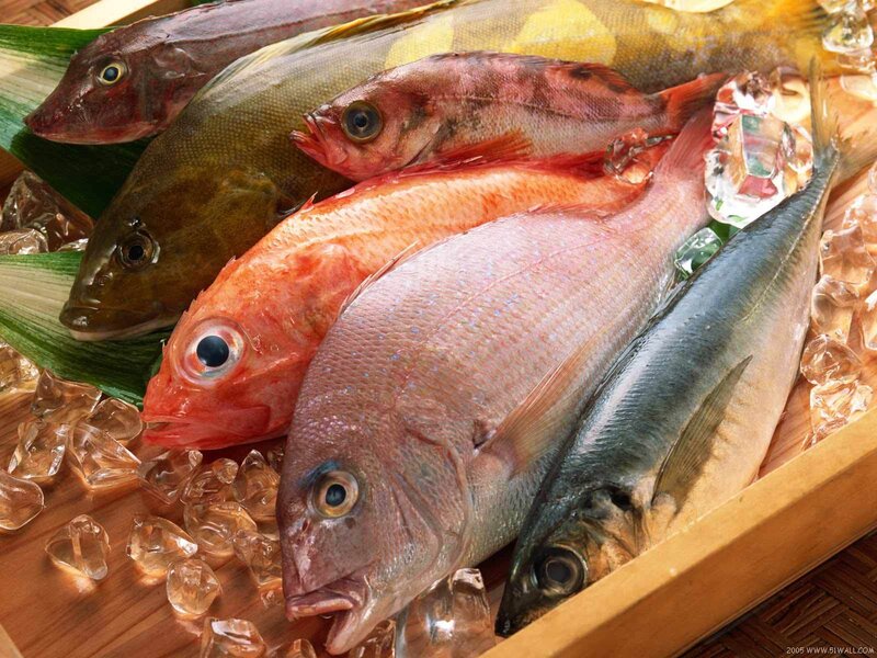 Assorted Fresh Fish on Ice