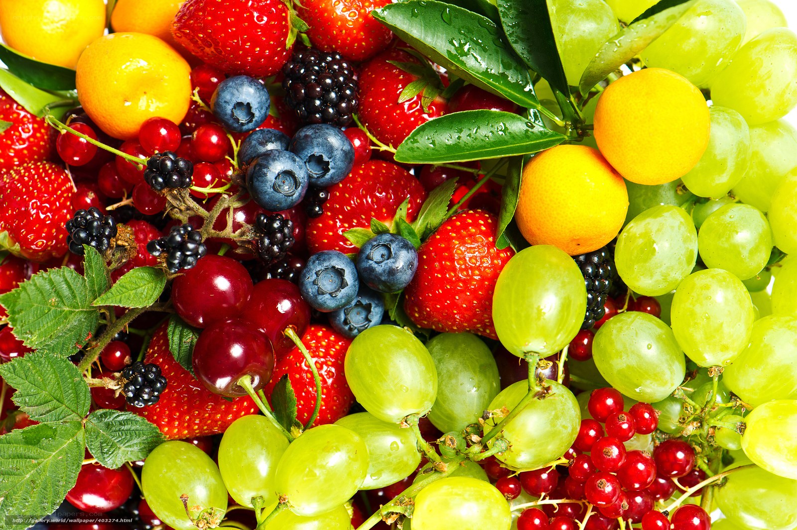 assorted fresh fruits