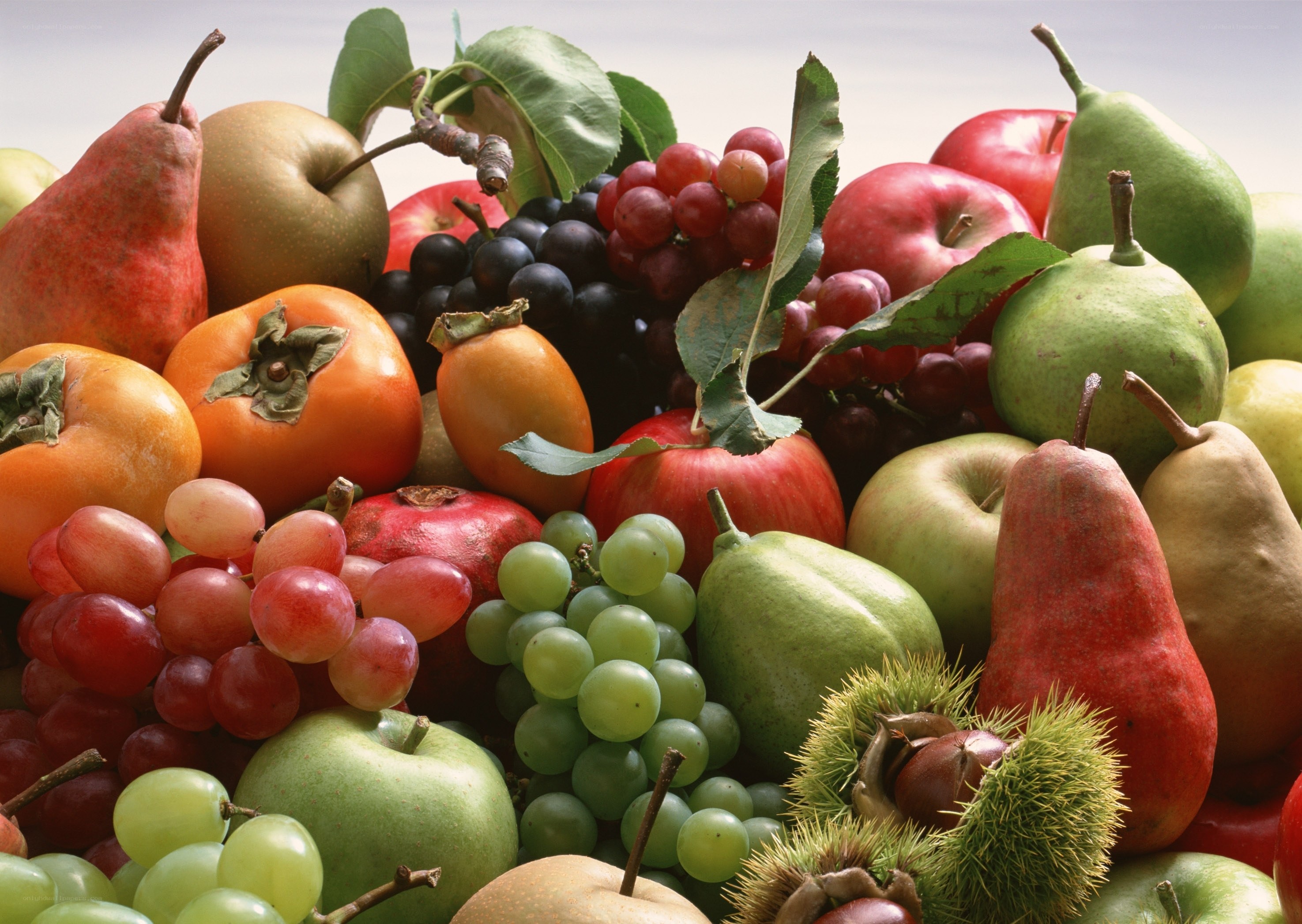 Assorted fresh fruits