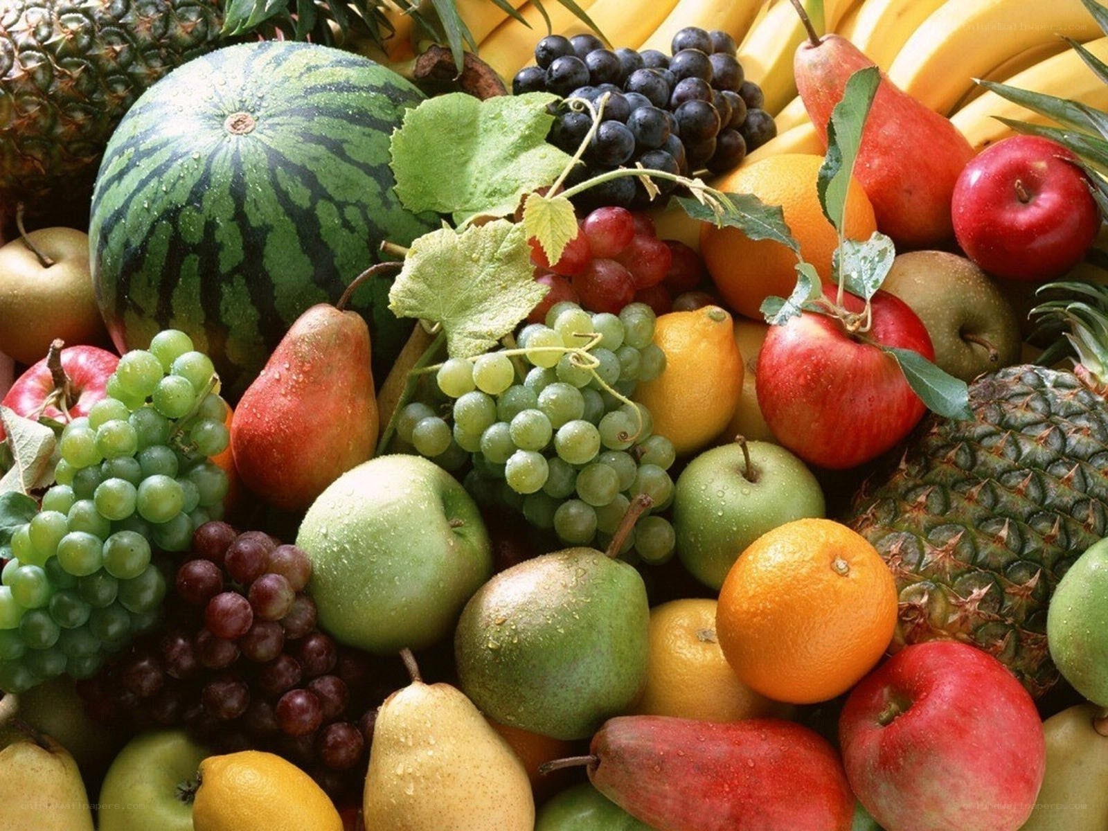 assorted fresh fruits