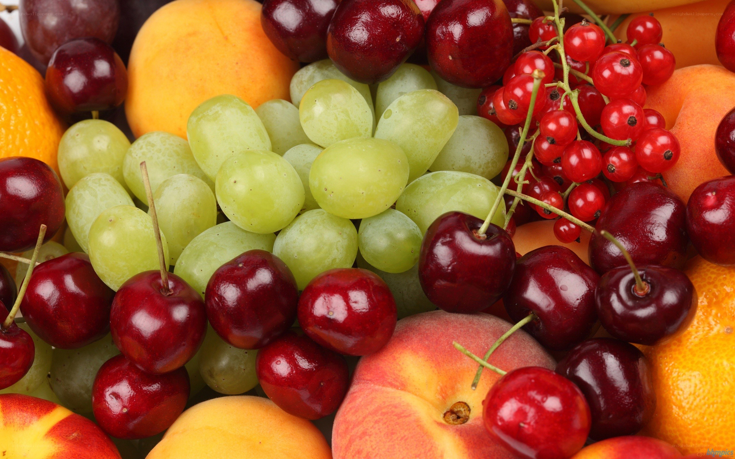 assorted fresh fruits