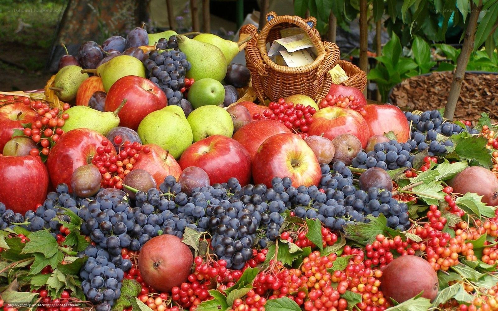Assorted fresh fruits display