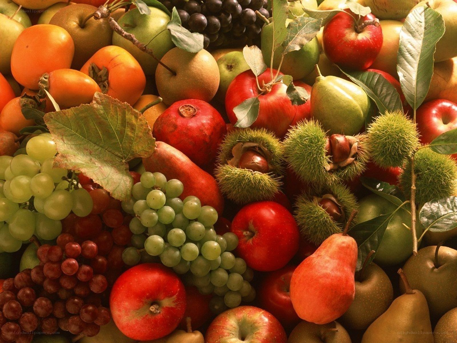 Assorted fresh fruits display